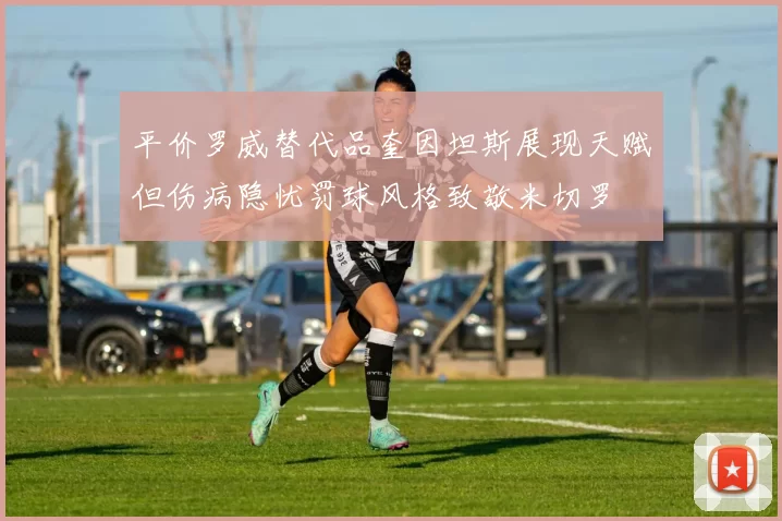 平价罗威替代品奎因坦斯展现天赋但伤病隐忧罚球风格致敬米切罗