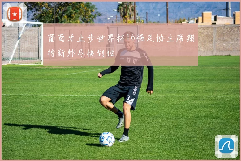 葡萄牙止步世界杯16强足协主席期待新帅尽快到位